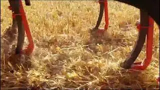 Premier essai du semoir a dents fines autoconstruit.