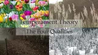 Temperament Theory Part 1: Spring and the Four Qualities