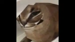 hi guys play keez 5days