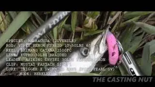 Barracuda Casting