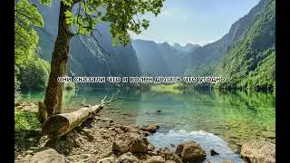 Жизненная история #2 #foryou #fun #video #funny #film #history #fypシ #fyp 