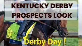 Kentucky Derby Prospects look (LetitRide74)