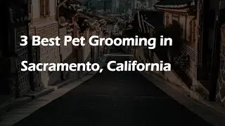 3 Best Pet Grooming in Sacramento, California | Pet Salons