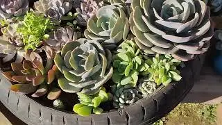 Mostrando o poqilho das minhas planilhas no sapequeiro da Nataly 🙏🏻🙏🏻🏡🌵😘&hearts;️ 