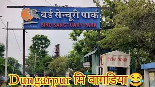 Bird Sanctuary Park Dungarpur 🐦🕊️Went wandering with a friend and found my heart empty 11.M View ...
