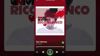 Your Universe x Beer (Full Version) | Spotify Mix