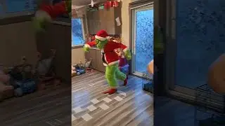 The Grinch Steals a Christmas Tree || ViralHog