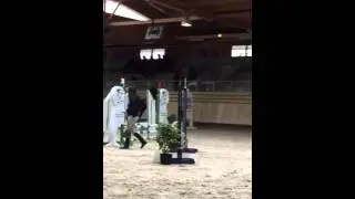 Loupette cavalier champion