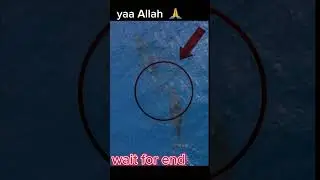 yaa Allah fish videos #islam #allah #ytshorts #islamic #sub #viral #religion #islamicvideo