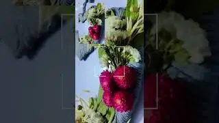 Dried Flower Wreaths | BloomyBliss