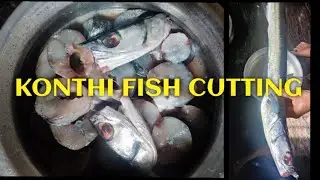 KONTHI FISH CUTTING | GARFISH CUTTING | NEEDLE FISH CUTTING