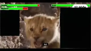 Mufasa's last words