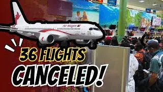 Stranded for Christmas: Air Niugini’s Flight Chaos Exposes PNG’s Aviation Crisis- 36 Flight Cancel!