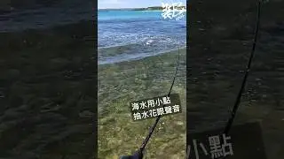 裝B散步，b-opper60根魚好好玩 ｜ 裝B的日子 #bopper #bopper60 #topwater #topwaterfishing #popper #popperfishing #根魚