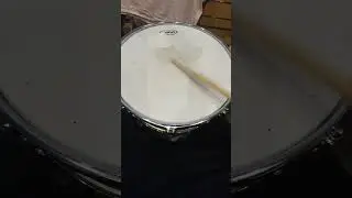 Natal Arcadia 14 x 5.5'' Snare Drum (Evans Dry Head HD)