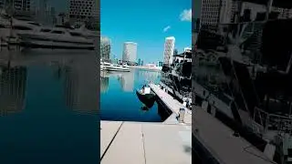 D Marine Dubai #shorts #dubailife #yacht #dubaiyachtclub #latest #viral