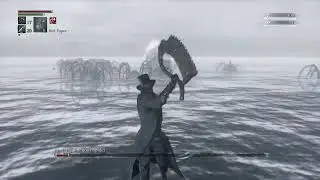Bloodborne - Rom BL4, BBP, Bolt paper