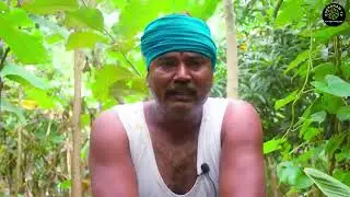 இயற்கை விவசாயி விஜயன்       மரப்பயிர்கள்