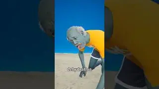 Лучший предмет для выживания в пустыне 😨