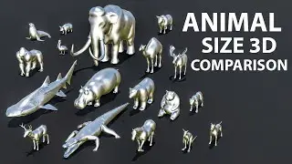 Animal Size Comparison 3D