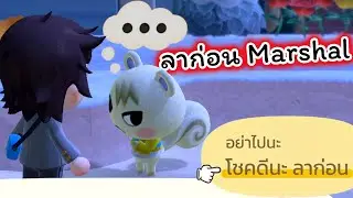 ลาก่อน Marshal Animal Crossing