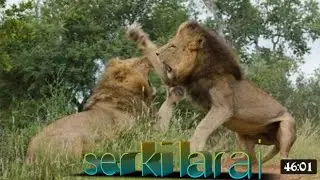 Ser ki larai