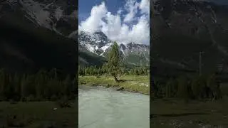 Basho Meadows 🗻❤️