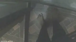 VID00262