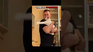 Other Cats Protect vs This One 💀