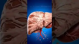 Liver Cirrhosis Explained in 9 Seconds #targetbiologywithtarunsir
