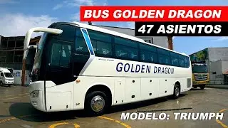 Golden Dragon Bus modelo Triumph I Tracto Camiones USA