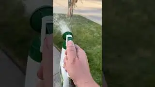 Lawn Care obsession - Spraying Scott&rsquo;s Liquid Green Max