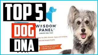 Top 5 Best Dog DNA Tests in 2026