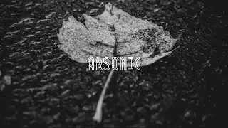 FeuiLL - Softness Of Rain