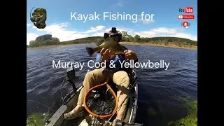 Kayak Fishing for Murray Cod and Yellowbelly