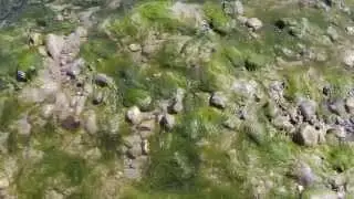 metal detecting by pucka 1 with pete on worthing rocks 5/6/2014