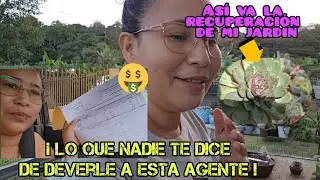 ¡ CUIDADO CON ESTO ! lo que Nadie te dice de deberle dinero a esta gente. / vlogs de suculentas 