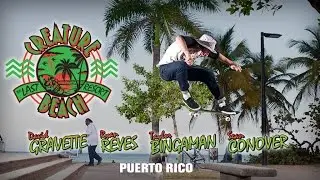 Creature Beach: Puerto Rico