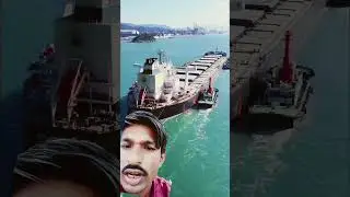 marchant Navy ship pilot life #containership #merchantship #pilot #pilotboat #viralshort #ytshorts