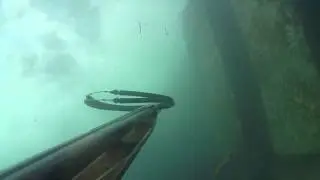 Spigola Pesca sub Neptune 105 Arbapr&ograve;