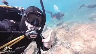 Matt happy diver kid and happy family diving day in Gozo, Malta 🇲🇹 