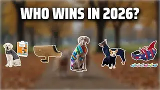 The Top 5 Best Pitbull Jackets in 2026 - Must Watch Before Buying!