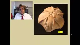 How do you name a new fossil species?