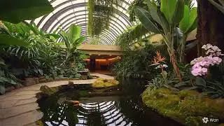 Koi Pond Design in Indoor Tropical Garden &ndash; A Harmony of Nature and Architecture