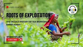 Roots of Exploitation | The Untold History of Tea Workers in Bangladesh | Studio Sylnet Presentes