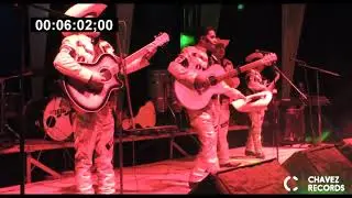 Impacto de guerrero en vivo