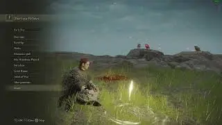 Elden Ring The Best Erdleaf Flower and Herba Farming Location (Same Spot)