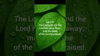 Job 1:21 