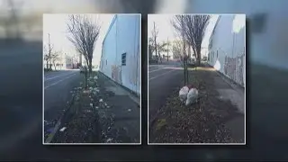 #TrashTag challenge picking up steam