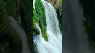 Soothing Waterfall Sounds for Instant Relaxation 🌊